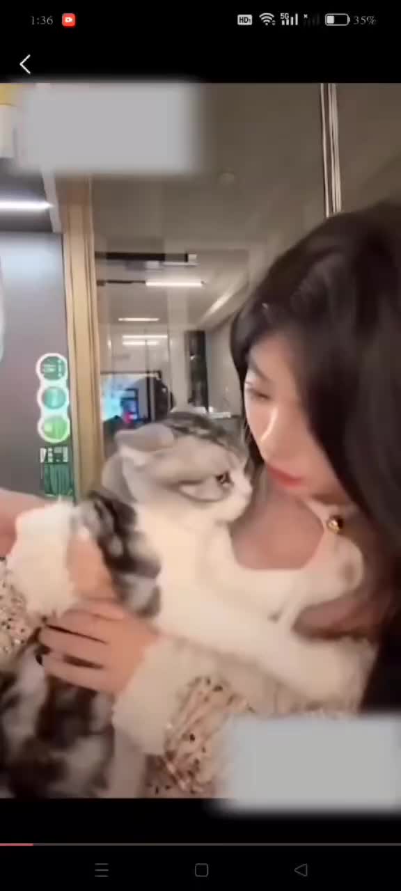 猫也喜欢奶